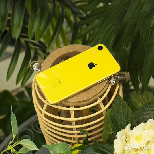 iPhone Xr, 128 ГБ