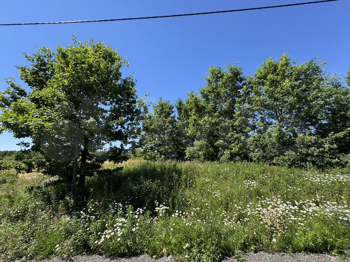 Участок 6 сот. (ИЖС)