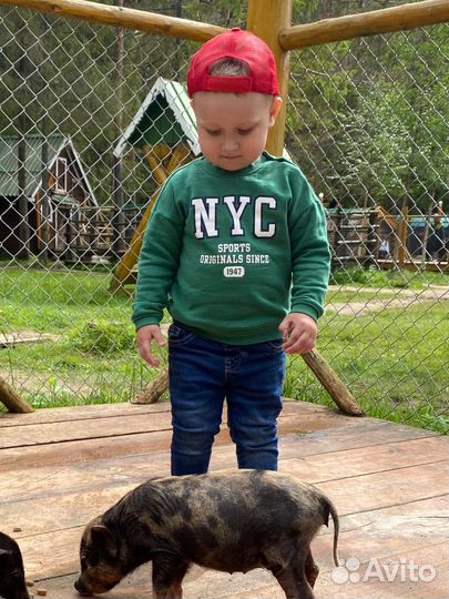 Фирменные вещи на мальчика