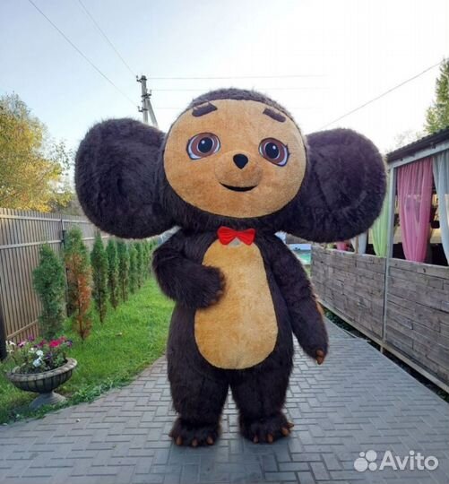 Поздравление от Ушастика