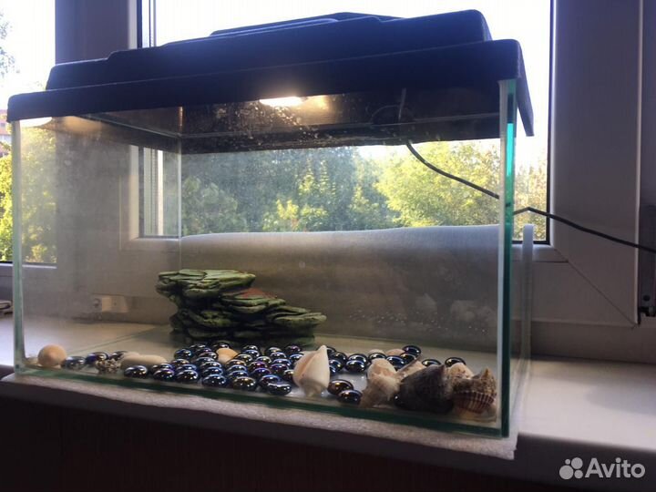 Аквариум