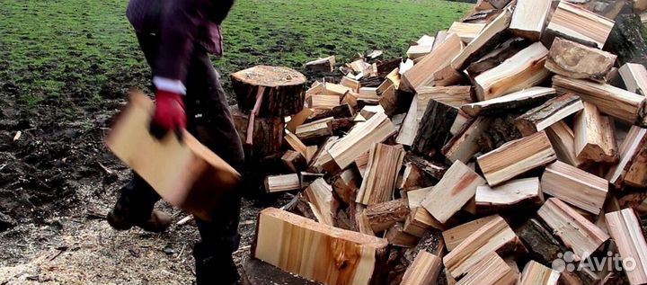 Дрова из леса