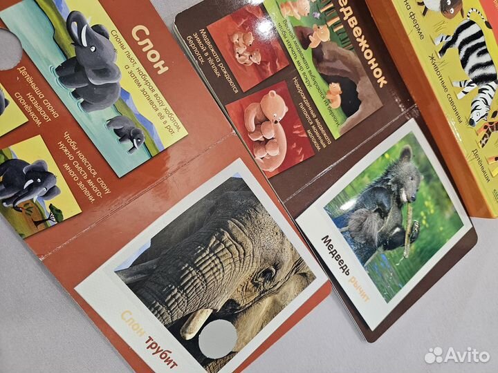 Детская книга clever мои любимые животные