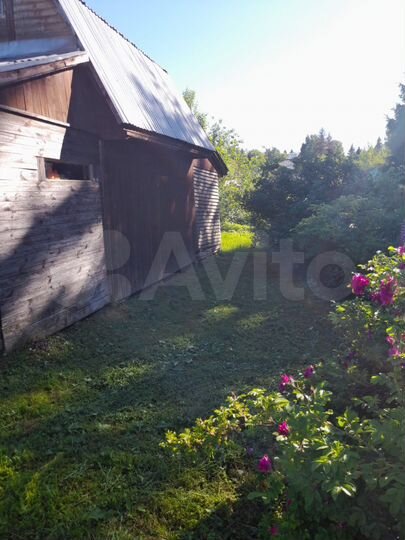 Участок 6 сот. (СНТ, ДНП)