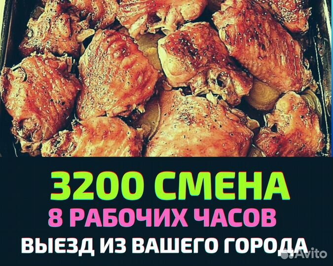 Вахта без опыта вакцинатор 8 часов рабочих