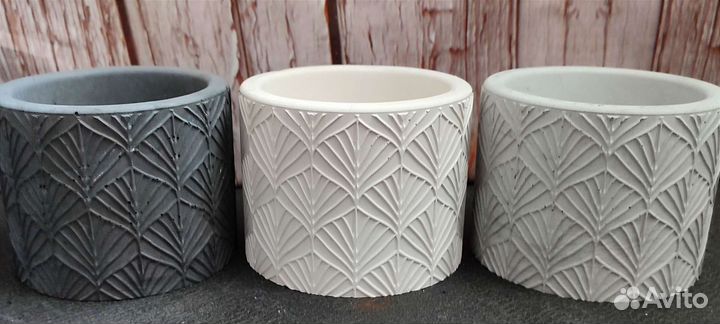 Суккуленты