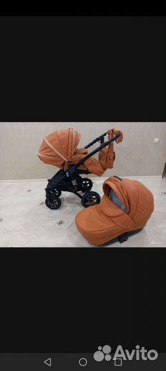 Коляска 2 в 1 adamex Gloria