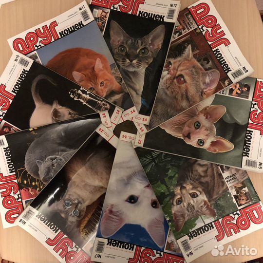 Журналы «Друг кошек»