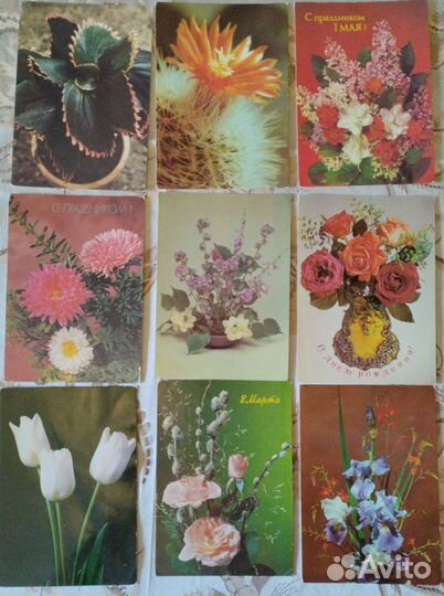 Открытки СССР цветы чистые много