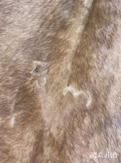 Шкура коровы Кольдби икеа