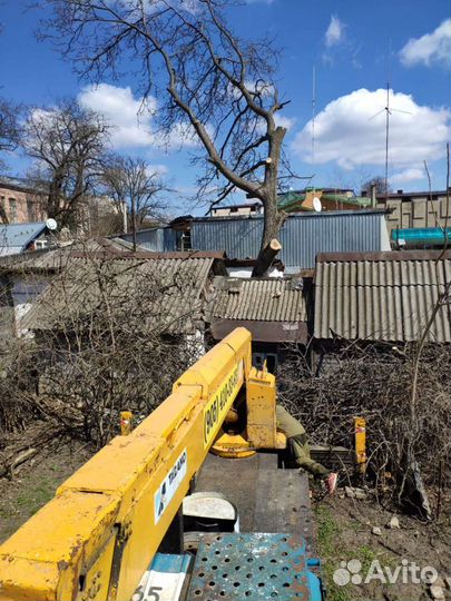 Спил деревьев, расчистка участков