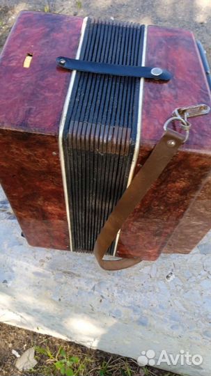 Гармонь чайка 2