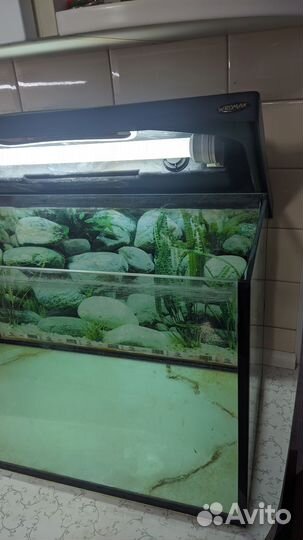 Аквариум полный комплект