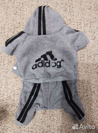 Одежда для маленьких собак