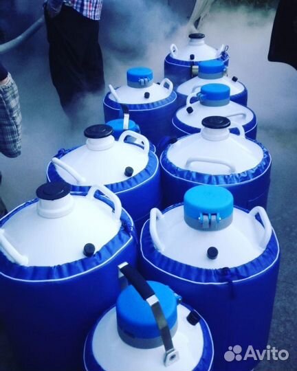 Сосуд дьюара в аренду