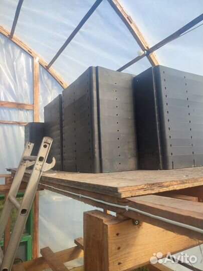 Лотки под выгонка тюльпана гидропоника