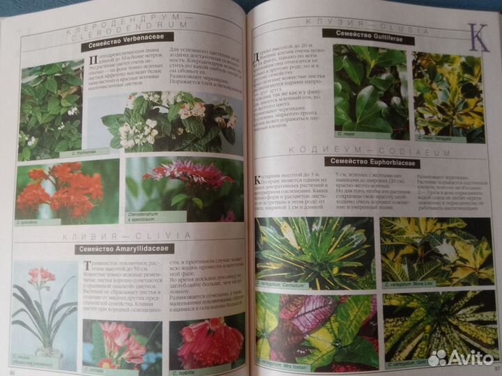 Комнатные растения(энциклопедия)
