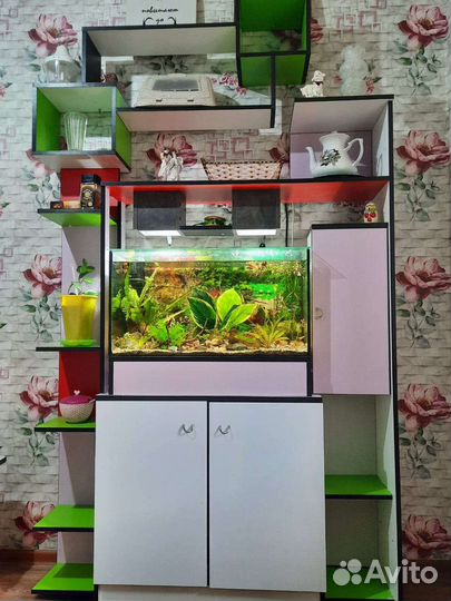 Аквариум