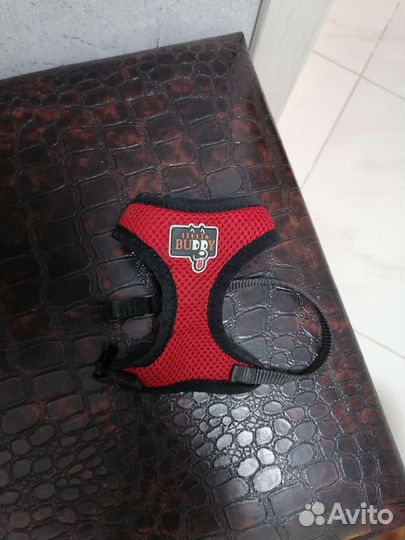 Шейка для собачки