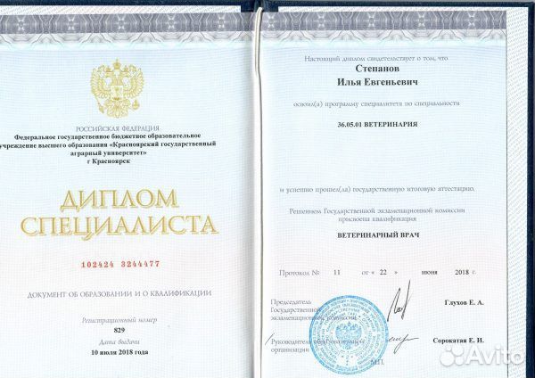 Гуманное усыпление (эвтаназия) животных