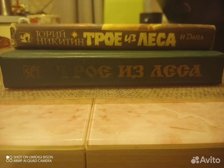 Юрий Никитин. Трое из леса