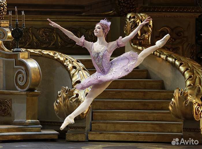 Билеты в Большой театр. Балет любой