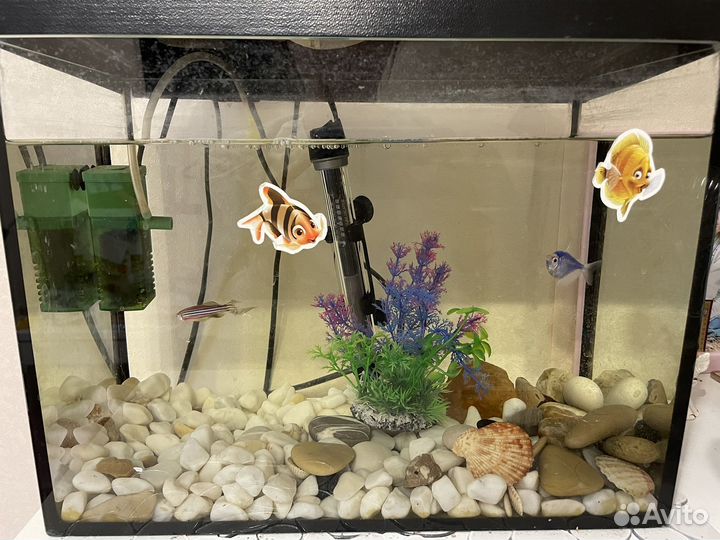 Аквариум
