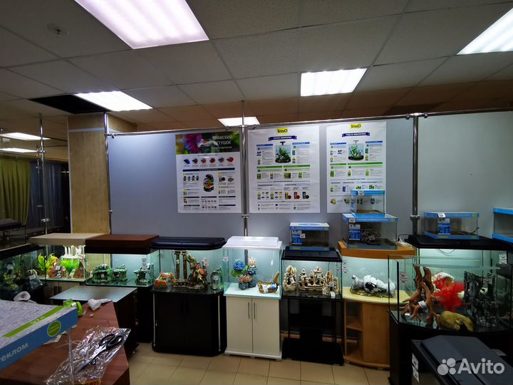 Аквариумы в наличии и на заказ