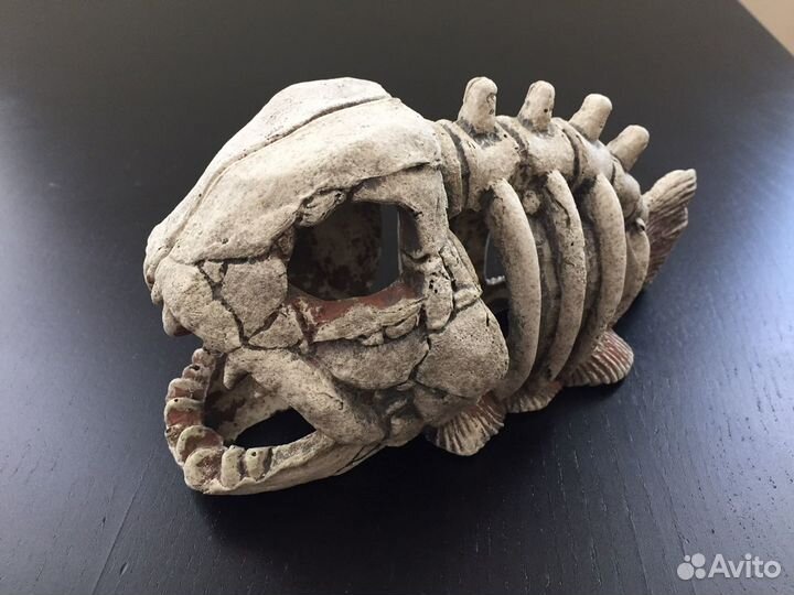 Коряга, корм Coppens