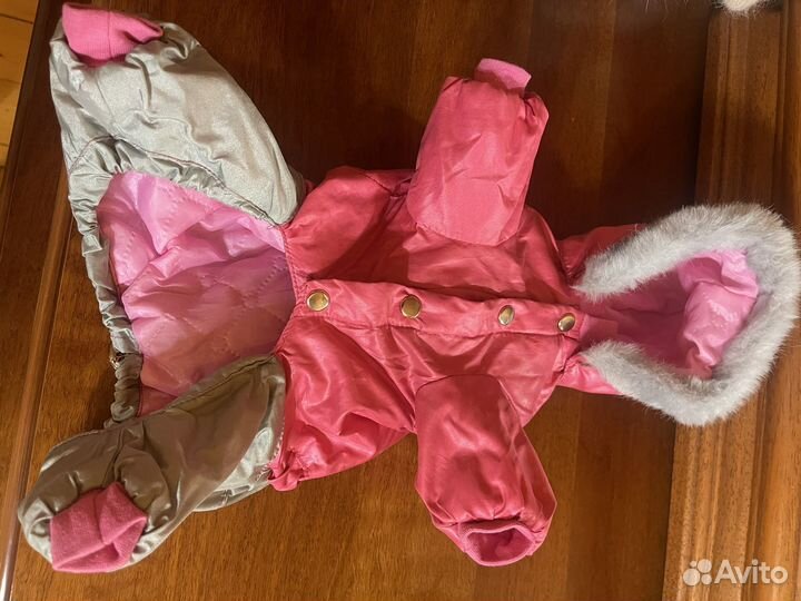 Одежда для собак мелких пород