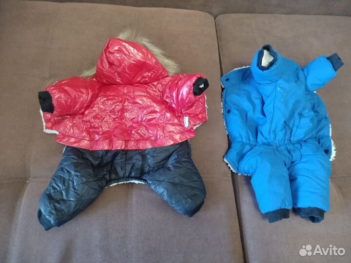 Одежда для маленьких собак/кошек