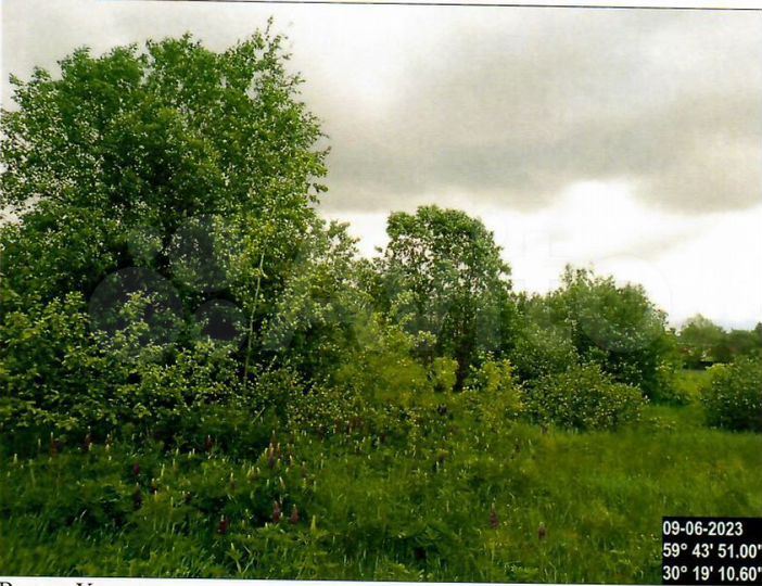 Участок 12 сот. (ИЖС)