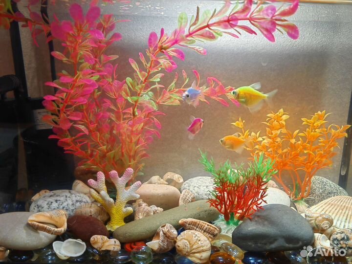 Аквариум