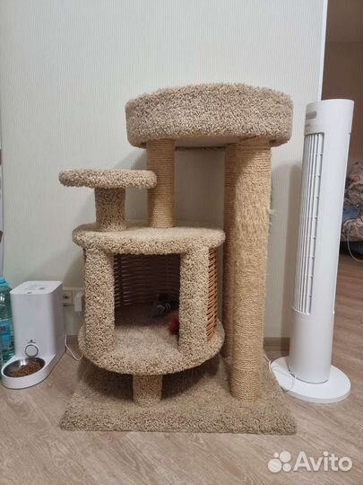 Домик с когтеточкой /электрическая игрушка