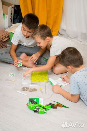 Формикарий/ Подарок для ребенка/ Муравьиная ферма