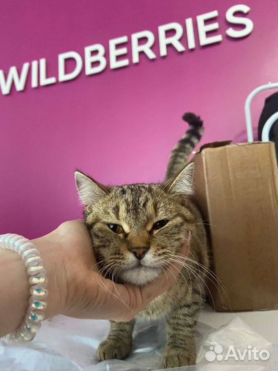 Логотип для брендовой стены Wildberries Ozon