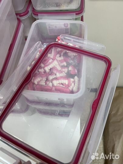 Контейнер пищевой 2,4 л