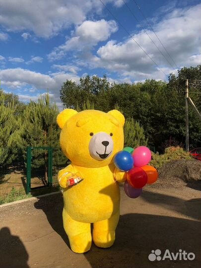 Белый медведь, аниматор, ростовая кукла