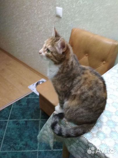 Хотят выбросить на улицу