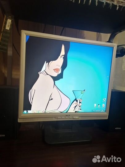 Монитор Acer AL1917 19