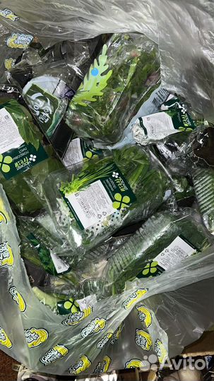 Хлеб для животных