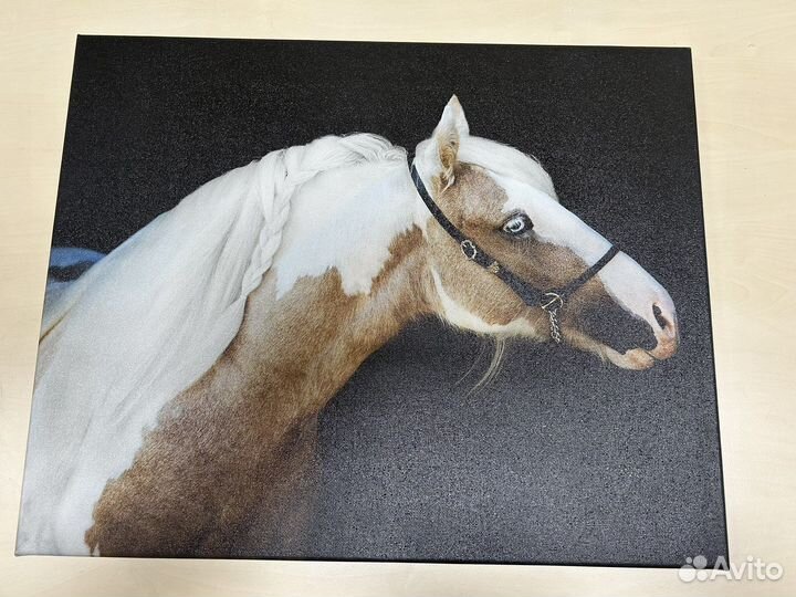 Картина на холсте лошадь