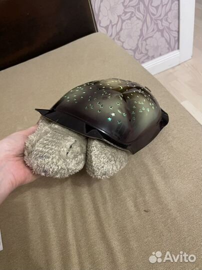 Ночник черепаха