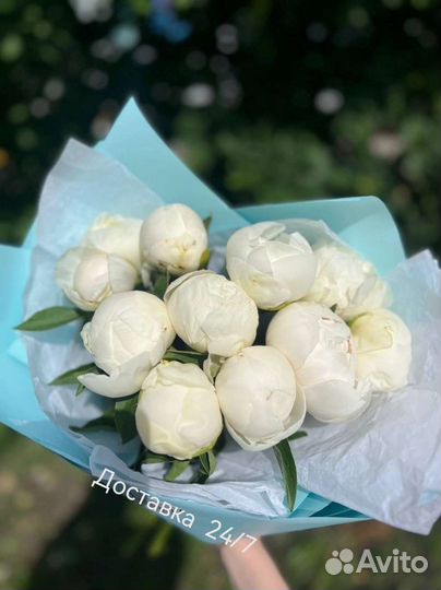 Пионы, цветы от производителя. Гарантия. 24/7