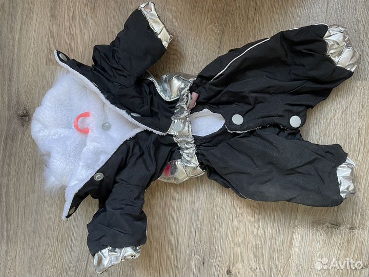 Вещи для маленьких собак