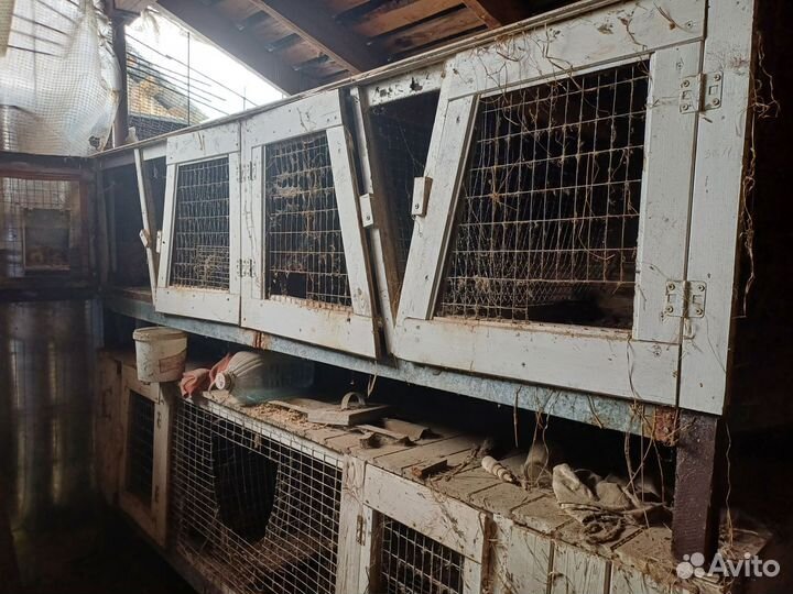 Домики для кроликов