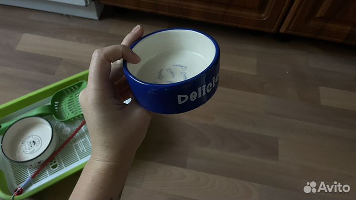 Лоток для кошек, совок, 2 миски, игрушка