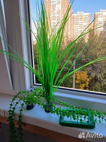 Аквариум 250 л. + украшения