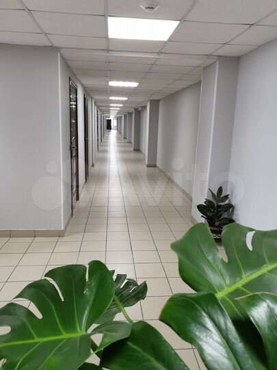 Свободного назначения, 13 м²