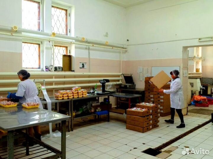 Пищевое производство. Здание 804м2 в собственности